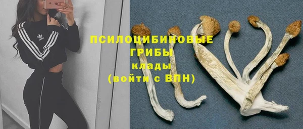 амф Няндома