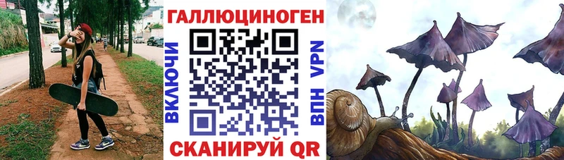 Галлюциногенные грибы Cubensis  Хилок 